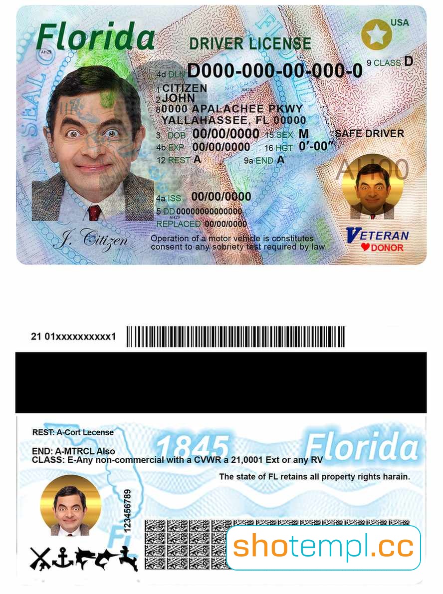 Florida Driver License PSD Template V3